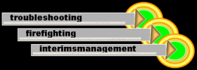 troubleshooting, firefighting, interimsmanagement